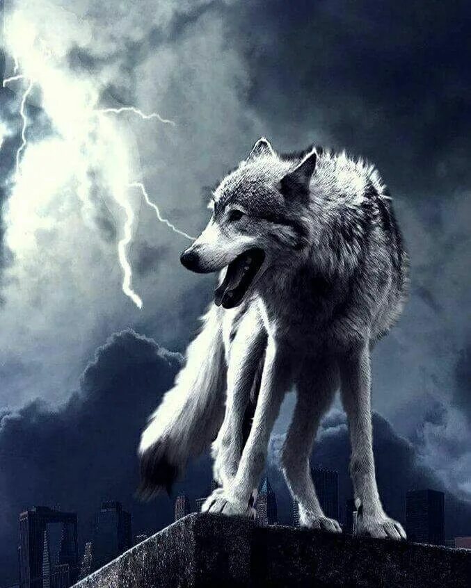 Волки крутые. Волк молнии. Самые крутые волки. Волк гроза.