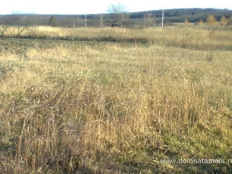 анапская участок. участки в анапском районе. супсех малиновая 63. купить землю в анапе. ст.