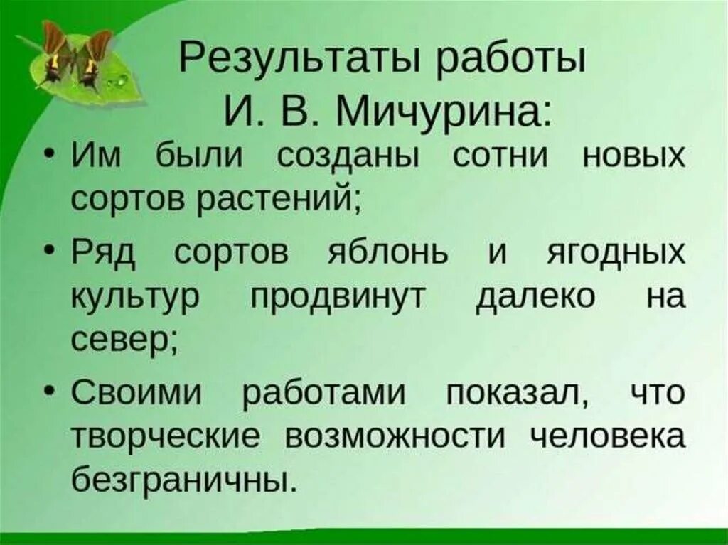 Селекция мичурина. Метод ментора в селекции растений. Селекция мичурина. Селекция мичурина. Методы селекции растений.