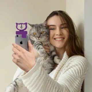 Кот домашний телефон