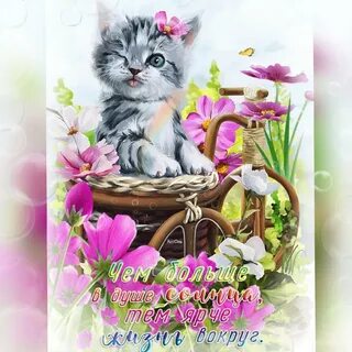 Пожелания с добрым днем с кошками