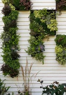 Garden wall