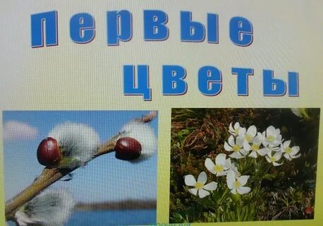 Первые цветы слушать