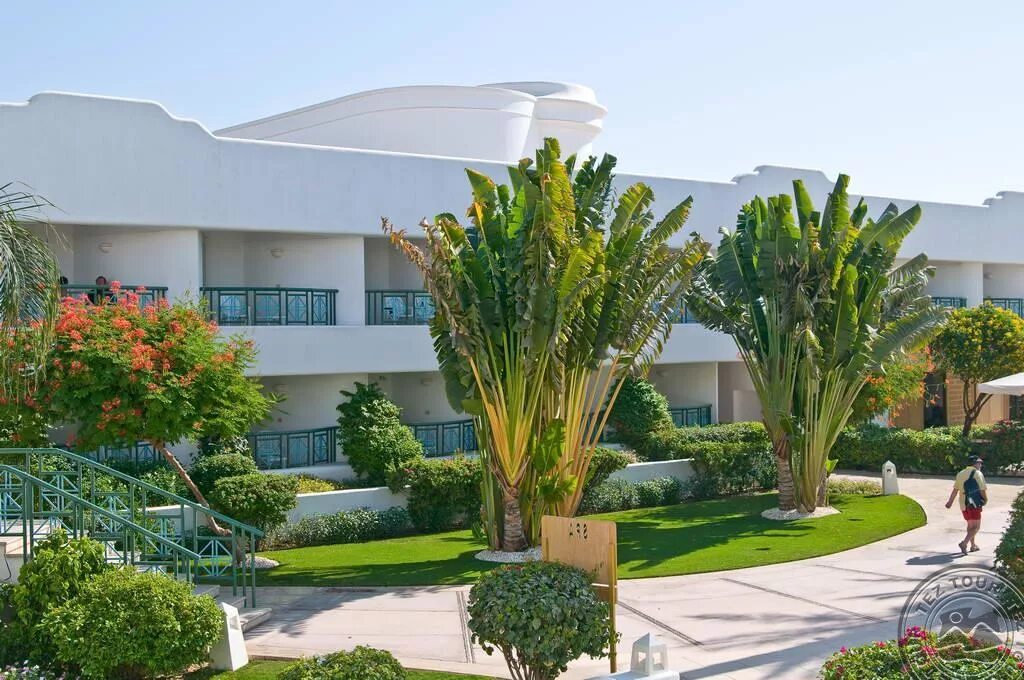 Novotel beach sharm el sheikh 5 египет. Отель novotel beach 5 шарм-эль-шейх. Отель новотель бич шарм-эль-шейх. Novotel palm 5 шарм-эль-шейх. Novotel palm 5* (наама бей).