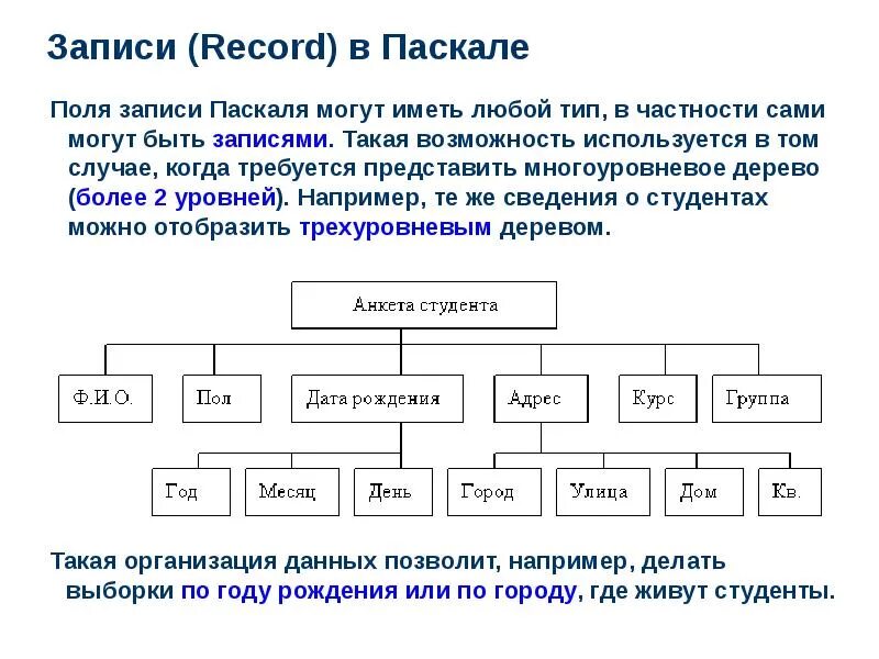 Как называется первый язык программирования. Как называется первый язык программирования