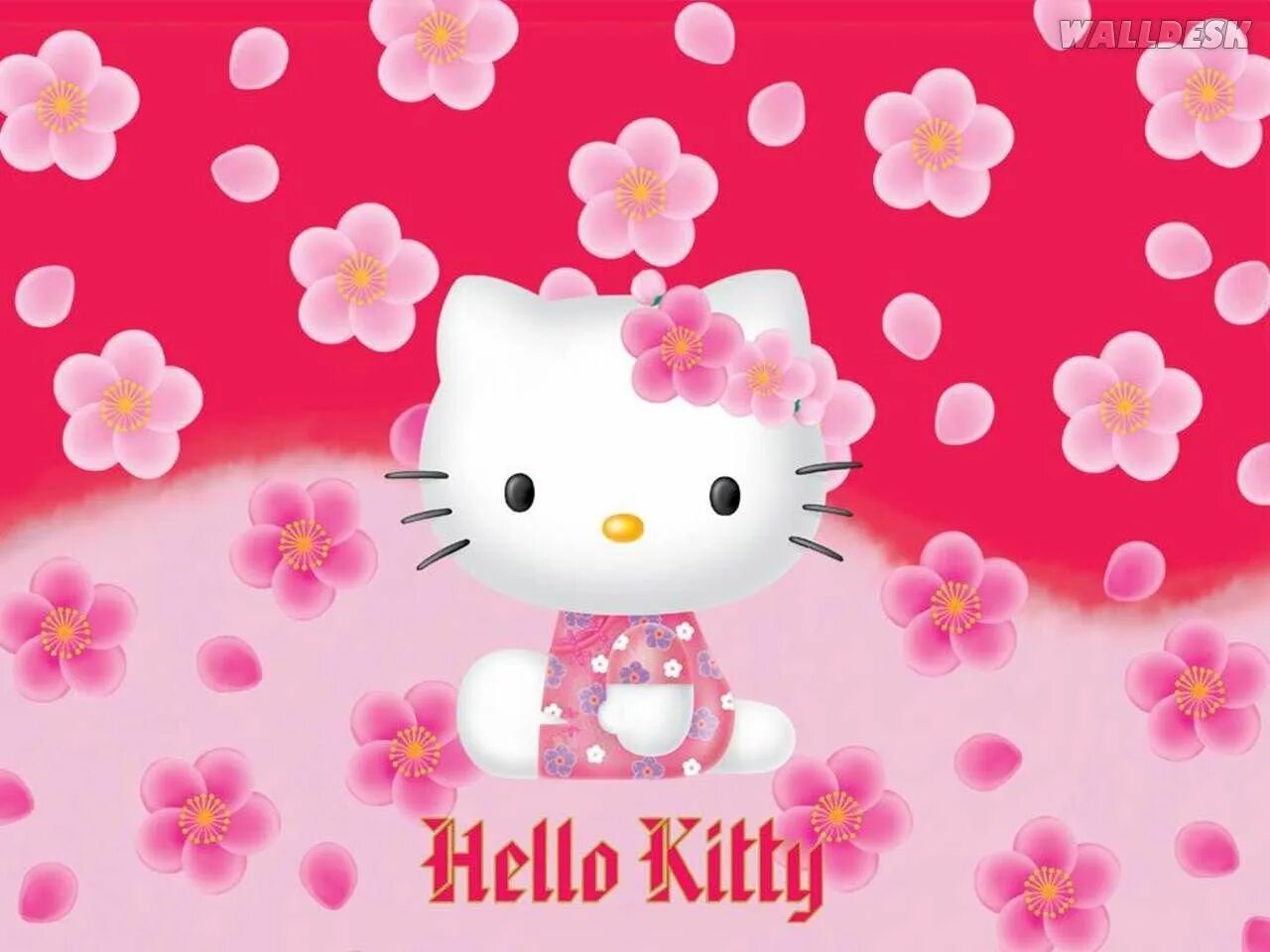 Hello kitty найти. Хелло Китти. Привет Китти. Картинки с Хеллоу Китти. Фон с Хеллоу Китти.