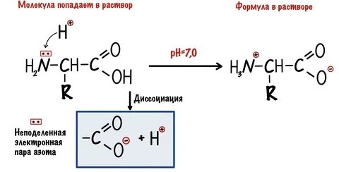 Радикал серина