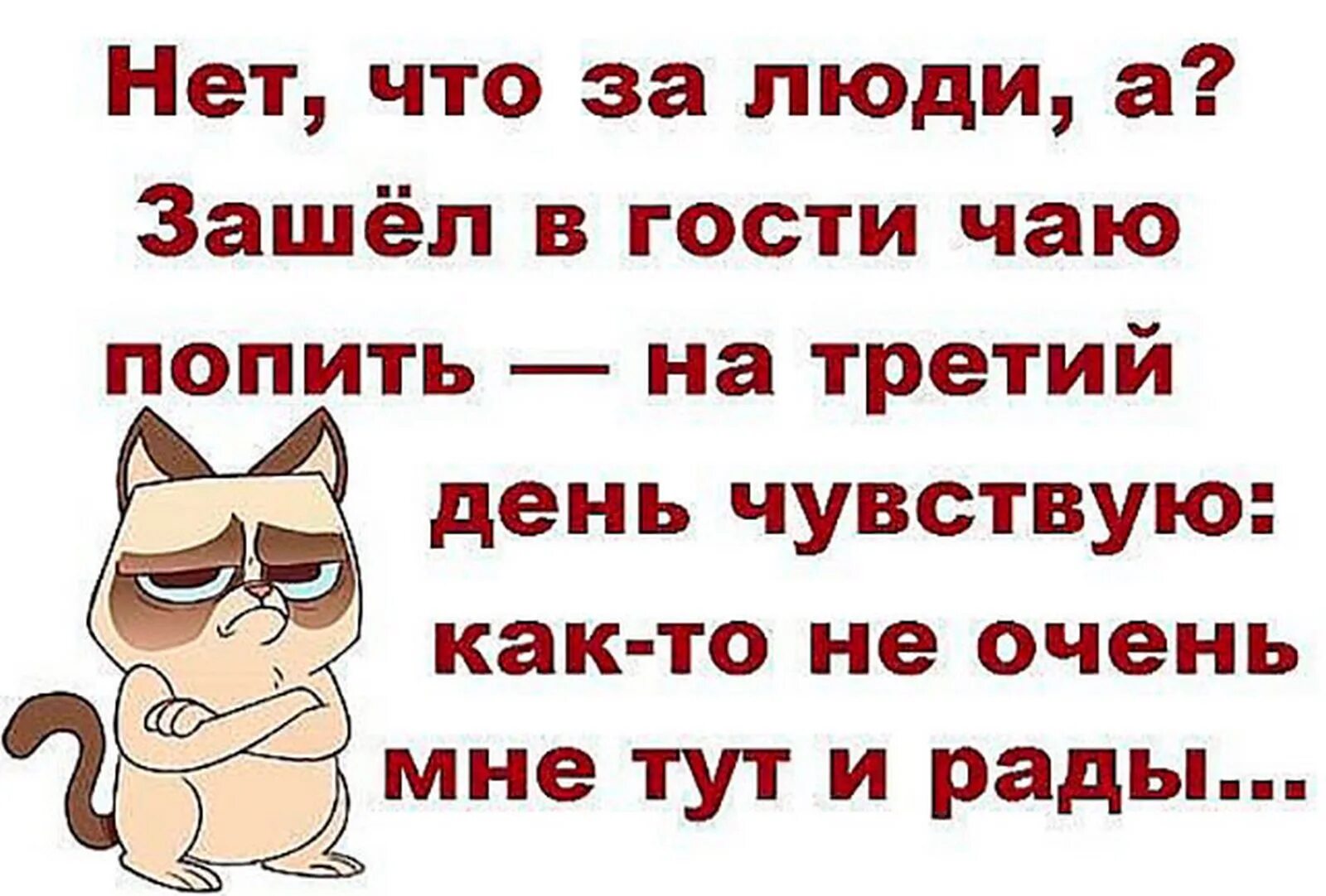 Смешные фразы про гостей. Шутки про гостей. Прикольные фразы для гостей. Цитаты про гостей. Пришли гости как сказать