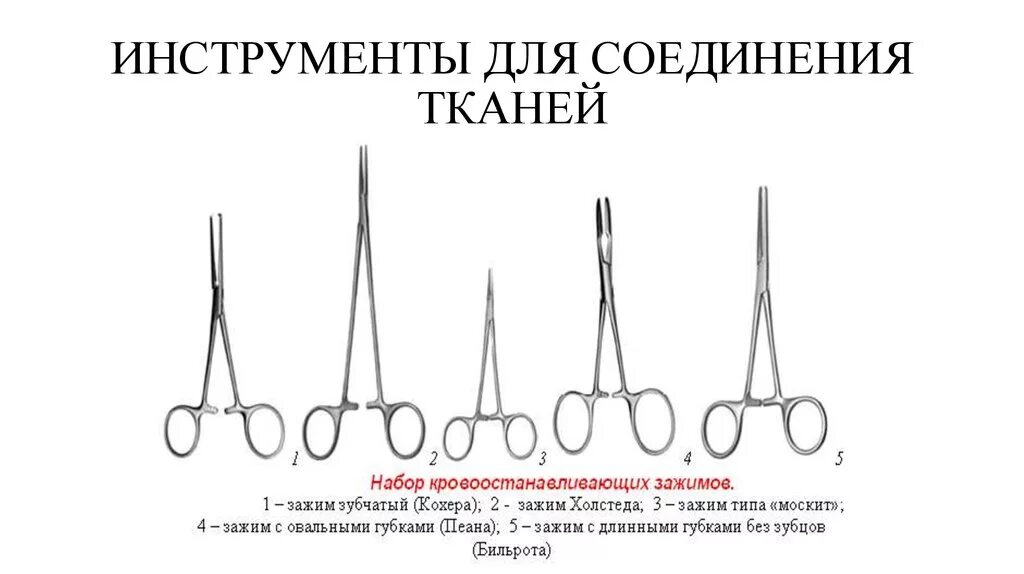 Инструменты для разъединения тканей в хирургии Ветеринария. Инструменты соединяющие ткани в хирургии. Инструменты для разъединения костной ткани Ветеринария. Хирургические инструменты для соединения тканей с названиями.