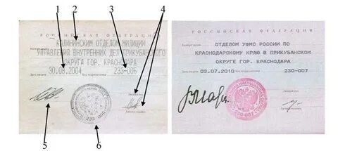 Где написано кем выдан