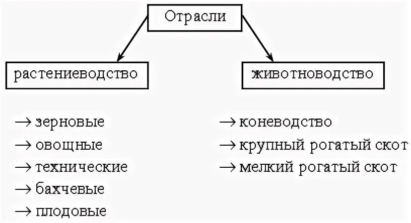 Тест растениеводство и животноводство