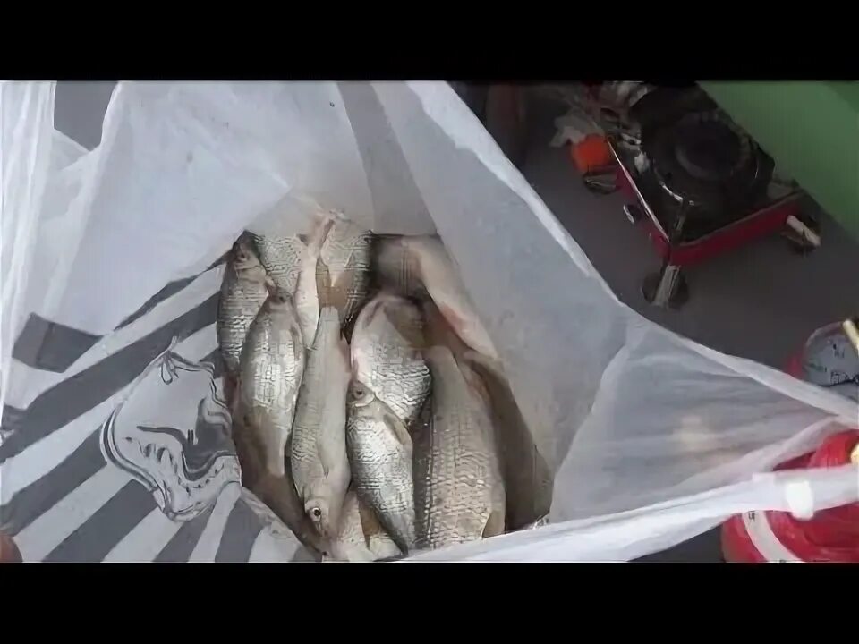 Рыбацкий 23/2. Рыбалка в хмао 2020. Тарелки с рыбками. Рыбная 23. Сервировка рыбы на тарелке.