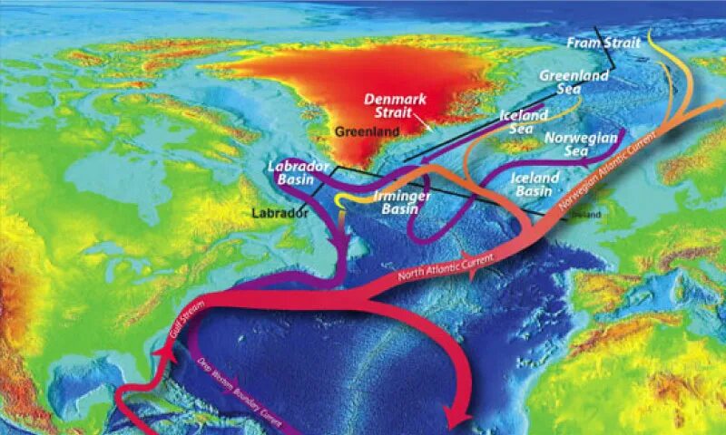 Теплые течения лабрадорское. Гольфстрим течение. Гольфстрим течения Атлантического океана. Гольфстрим и Лабрадорское течение. Течение Гольфстрим на карте.