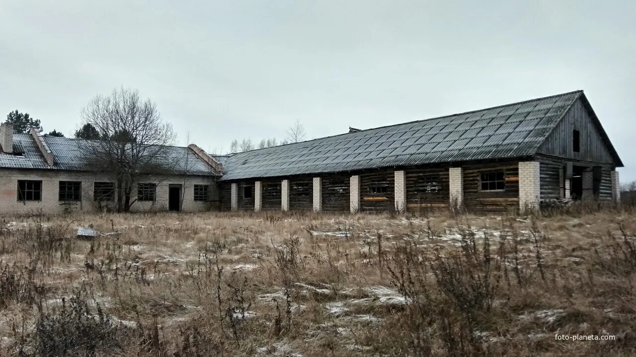 Заброшенная ферма в деревне Волковойно. Старая ферма. Старинная ферма. Заброшенные фермы в Устюженском районе. Старая ферма телефон