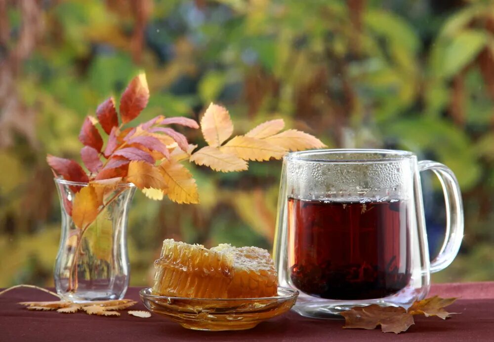 Заваривая чай мне хотелось угостить друзей. Осенний чай. Осеннее утро. Осень чай. Осеннее чаепитие.
