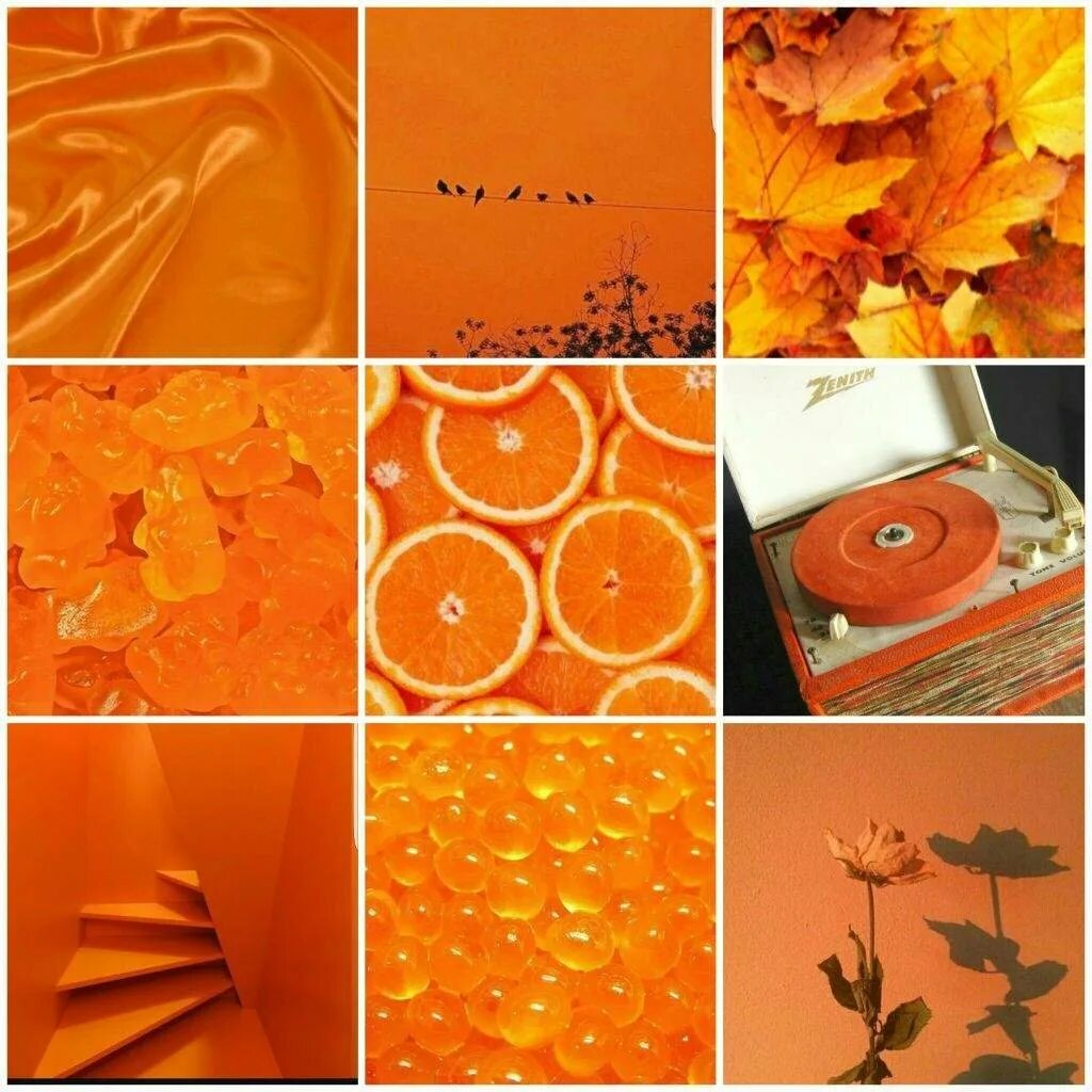 Оранжевые вещи. Эстетика оранжевого цвета. Красивый оранжевый цвет. Оранжевый коллаж. Оранжевый цвет квадрат