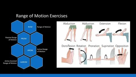 The art of motion test 1