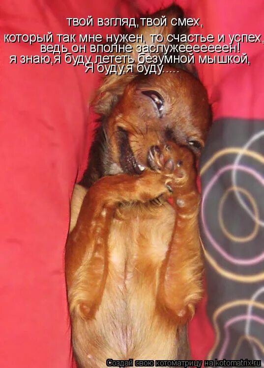 мне нужен твой смех. люблю твой голос. я знаю я буду для тебя всегда твоей малышкой текст. песня мне нужен твой смех. дима дембицкий.