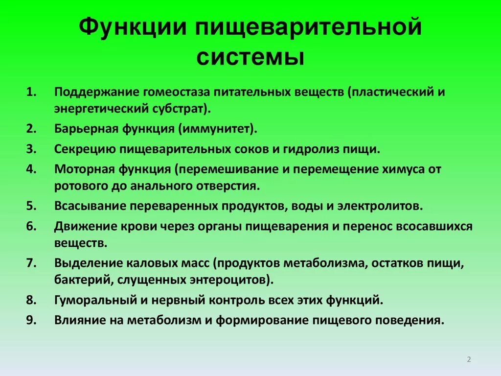 Функции пищеварительной системы. Функции системы пищеварения. Основные функции пищеварительной системы. Перечислите основные функции системы пищеварения.