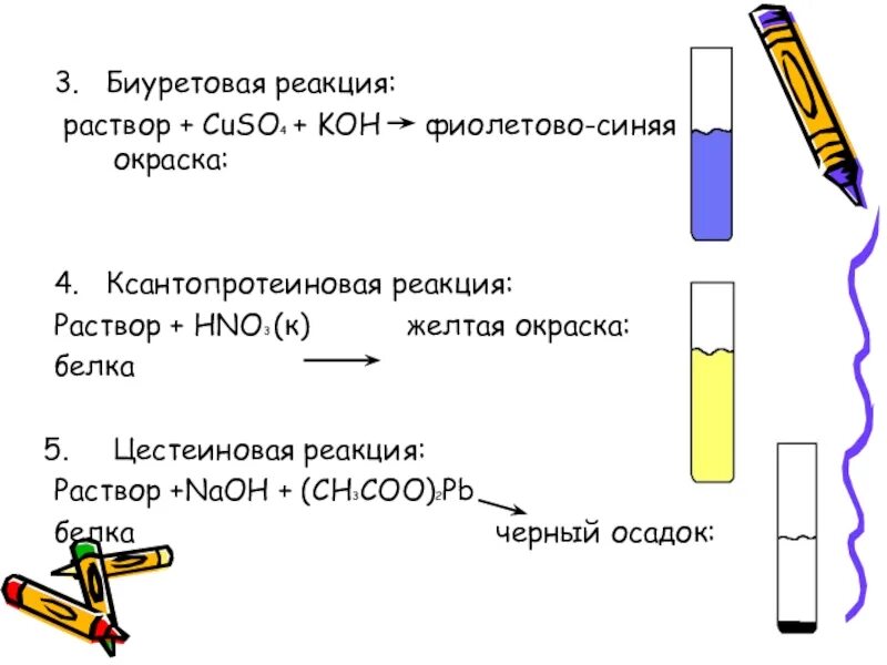 Кон реагирует с раствором. Биуретовая реакция с яичным белком. Реактивы биуретовой реакции. Биуретовая реакция белков NAOH+cuso4. Биуретовая реакция на белок.