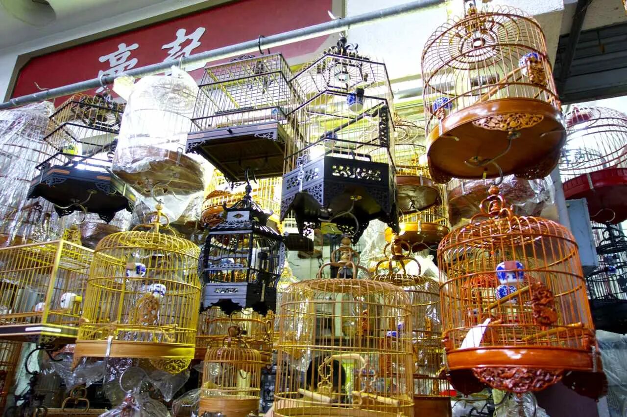 птичий рынок астрахань. бутик от птичьего рынка. птичий рынок екатеринбург. утк "садовод". центральный рынок симферополь птичий рынок.