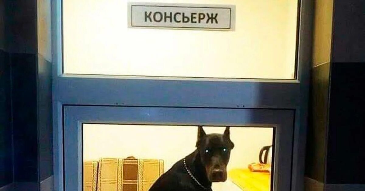 Работа консьержкой в жилом доме москва