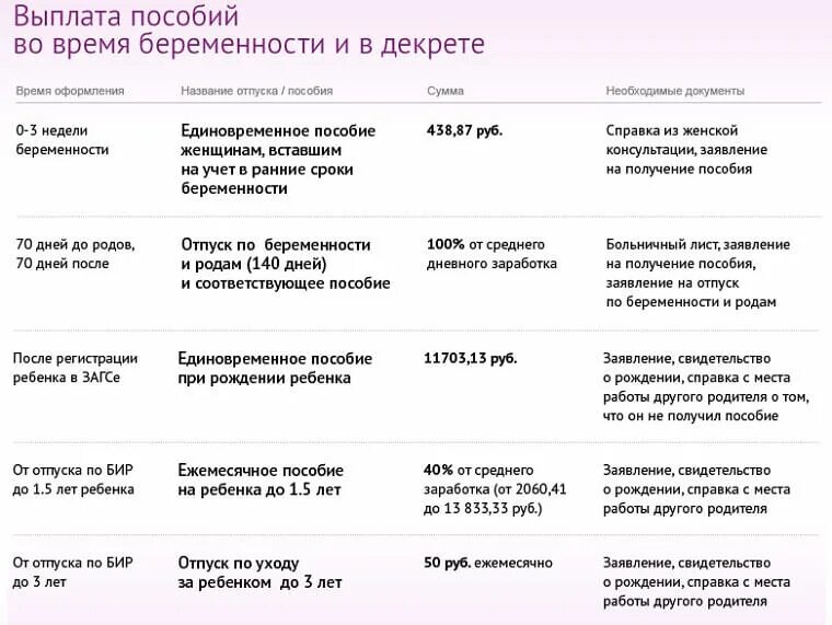 До какого срока необходимо подать