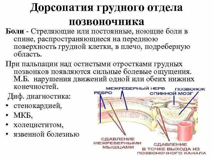 Дорсалгия карта вызова. Жалобы при дорсопатии поясничного отдела позвоночника. Дорсопатия пояснично-грудного отдела. Симптомы дорсопатии поясничного отдела позвоночника. Дорсопатия шейного отдела позвоночника.