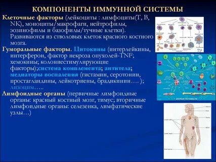 Клеточный компонент