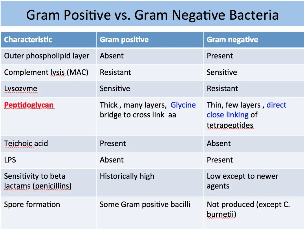 Gram positive gram negative. Gram negative and positive bacteria. Gram positive bacteria. Gram positive and gram negative bacteria Cell Wall. Characteristic feature