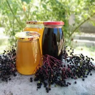 Настойка бузины