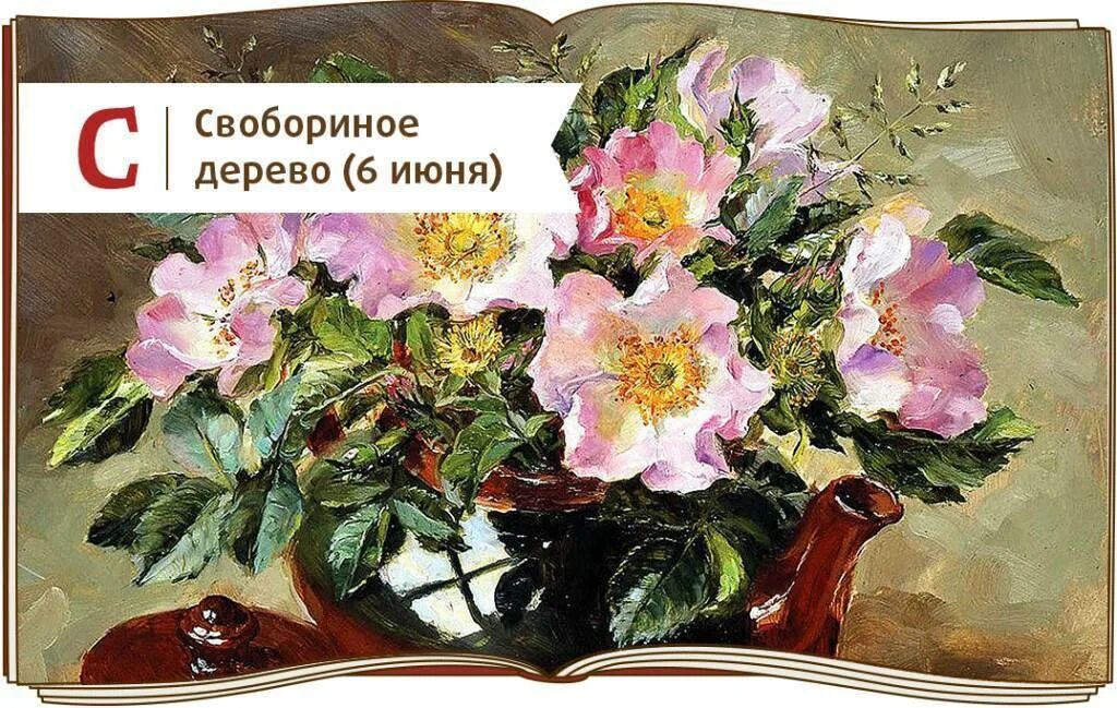 Шиповников день 6 июня картинки. Свобориное дерево (шиповник). Шиповников день 6 июня картинки. 6 июня шиповников день свобориное дерево. Свобориное дерево (шиповник).