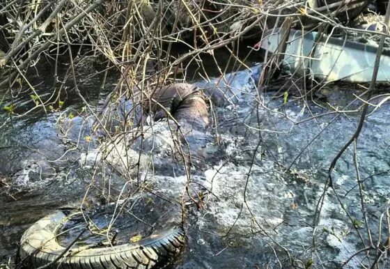 После пребывания в воде. После пребывания в воде