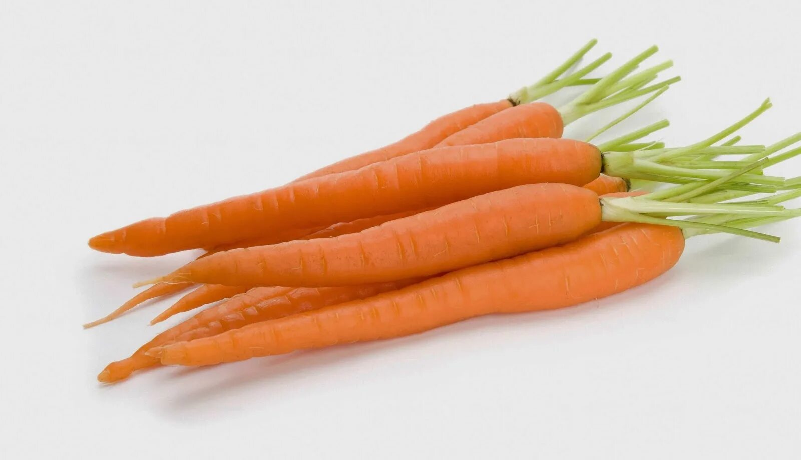 Carrot vegetable. Морковь. Оранжевые овощи. Оранжевая морковь. Морковь на белом фоне.