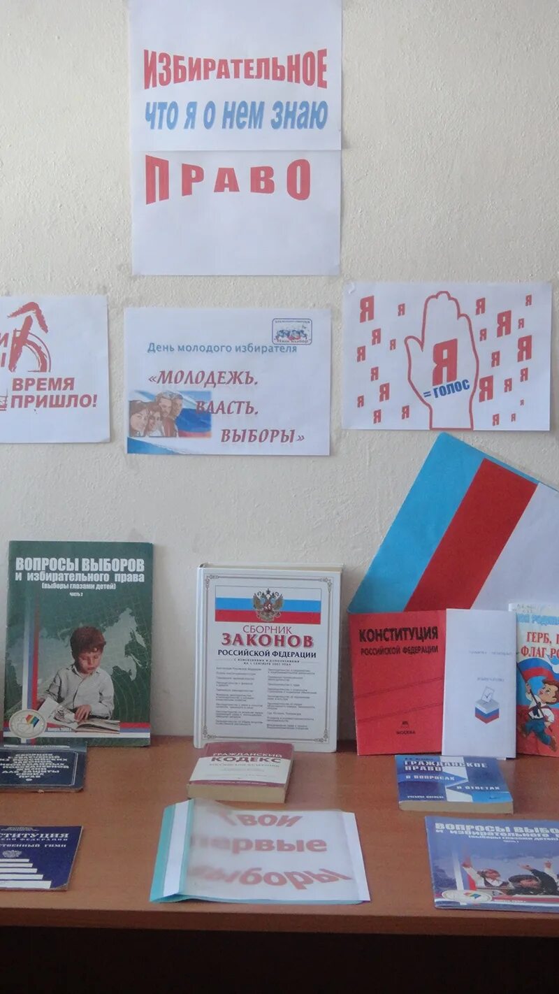 Мероприятия ко дню молодого избирателя. Выставка ко дню молодого избирателя. уголок молодого избирателя в библиотеке. молодому избирателю книжная выставка. книги ко дню молодого избирателя.