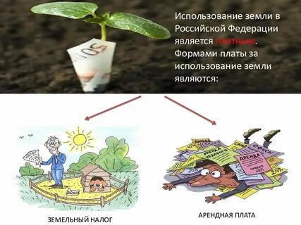 Виды платы за землю установленные
