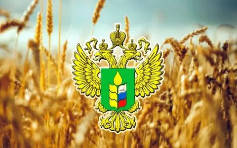 Мсх оплата