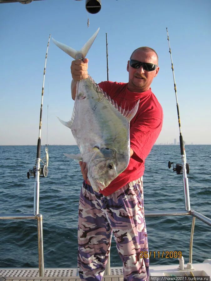 Рыбы персидского залива. Арабская рыба. Рыбы в заливе. Персидский залив рыбки.