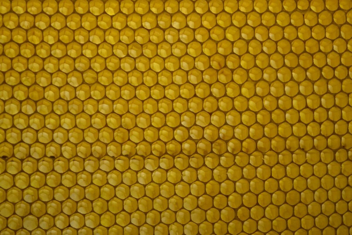 шестиугольник pro100. соты адрес. железные соты. трипофобия соты медовые. соты адрес.