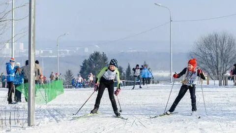 Кубок кирова