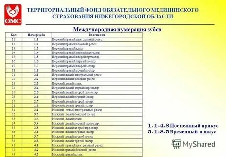 Омс нижний новгород телефон