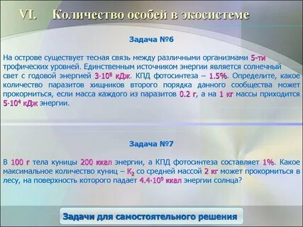 Сколько особей