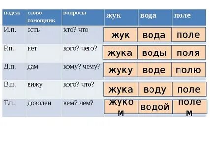 Слово племя по падежам