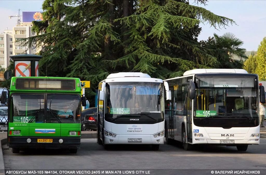 Новые автобусы сочи. МАЗ 103 Сочи. Автобус МАЗ В Сочи. Сочи новые автобусы. Сочи автобусы автобусы.