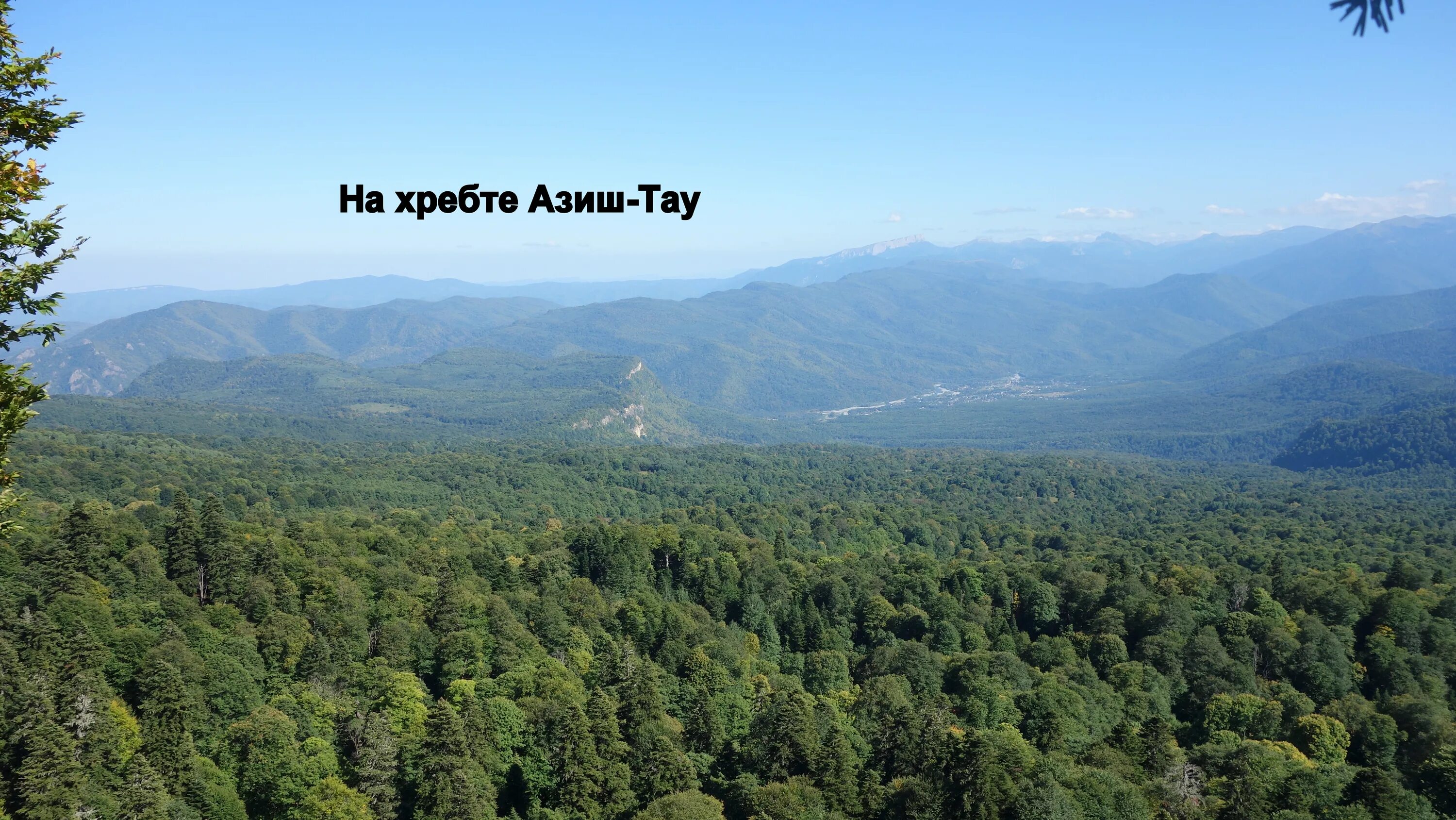 лагонаки гора азиш тау. хребет азиш. гора азиш тау адыгея. лаго наки хребет азиш-тау. азиш тау гора.