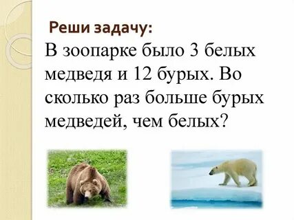 Решите задачу определите вес бурого медведя