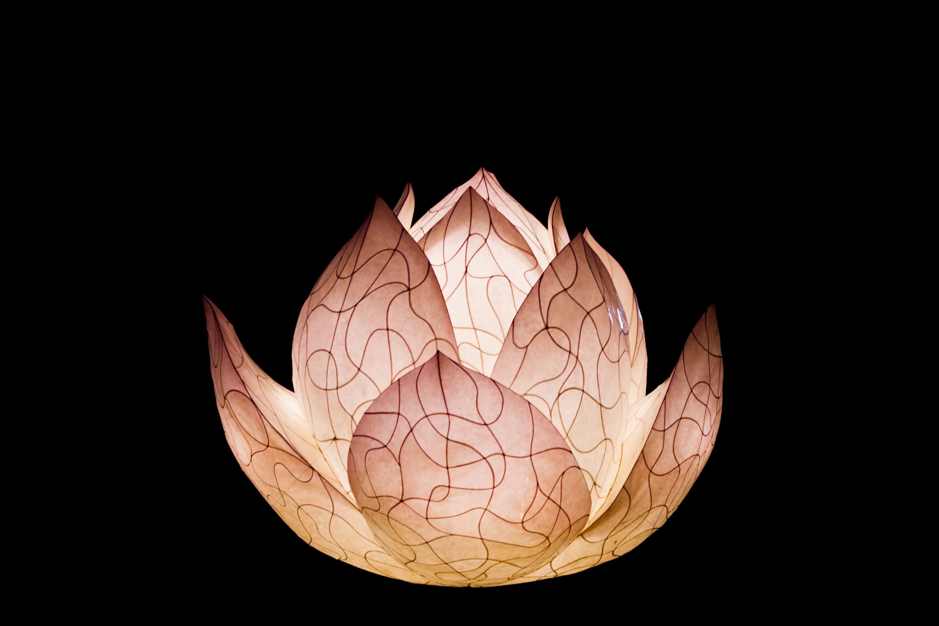 Приложение lotus lamp x