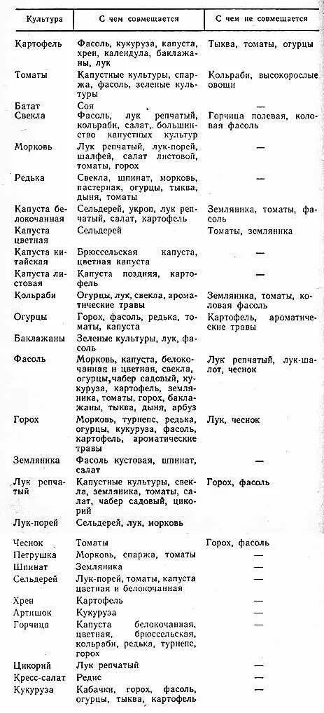 Какие овощи совместимы. Таблица совместимости посадки овощей на огороде. таблица совместимости овощных культур при посадке на огороде. предшественники овощных культур при посадке таблица. совместимые растения на огороде таблица.