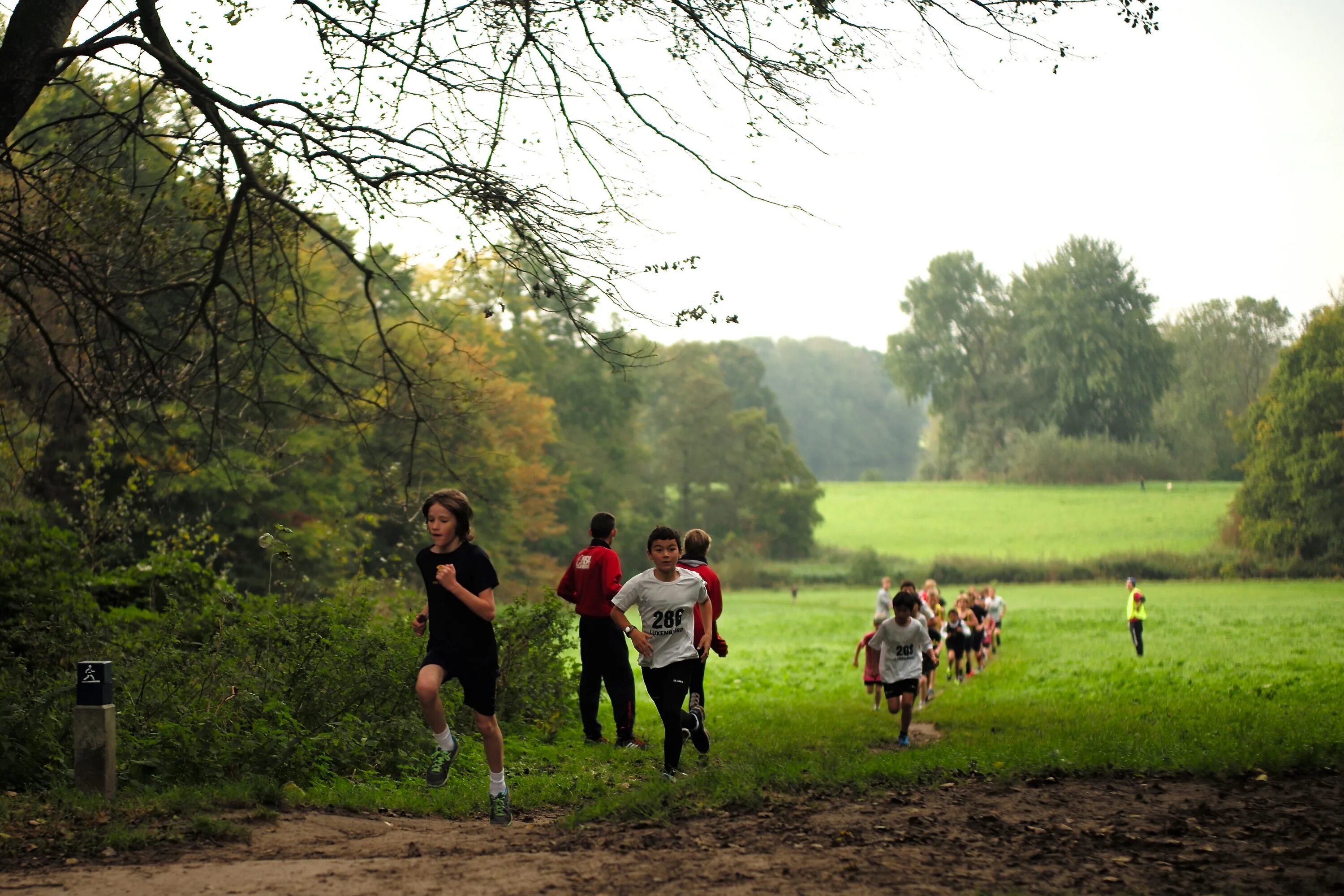 Нидерланды лес. Леса Голландии. Нидерландия леса. Фотосессия на спортивном поле группы людей. Field run