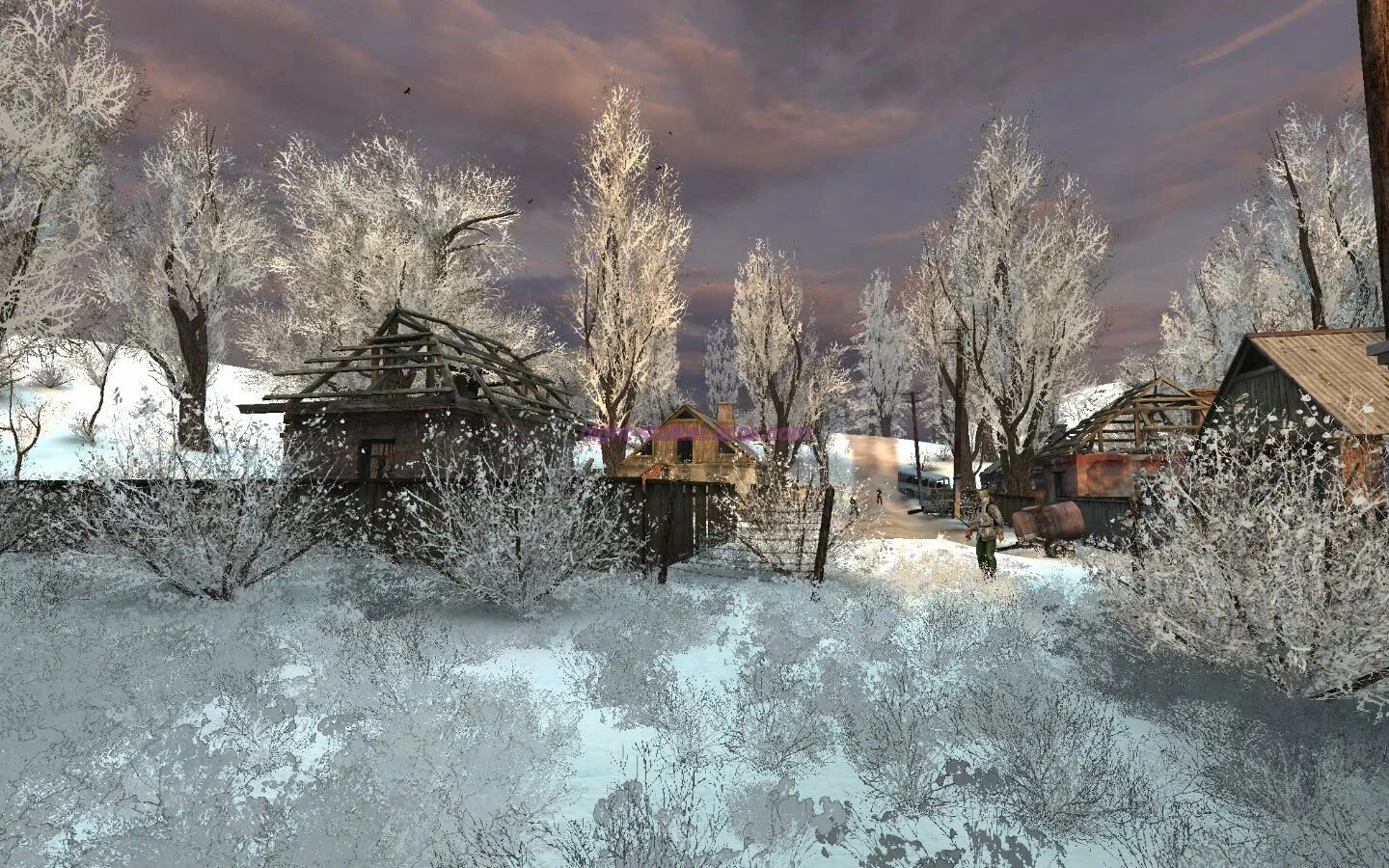 Stalker winter